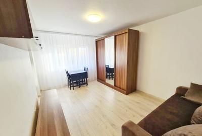 Baba Novac/Campia Libertati/Garsoniera Moderna La Cheie/ - 3