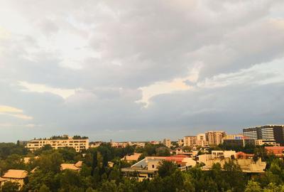 Penthouse with rooftop in Herastrau | Satul Francez - 45