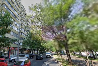 Spatiu comercial la inchiriere pe Titulescu - 4