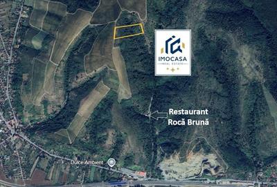 De Vanzare Teren extravilan 6722 mp Păuliș – zona Roca Bruna, Arad - 1