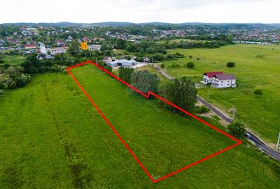 Teren industrial intravilan 9.810 mp – Bascov, acces A1, E81 - 1