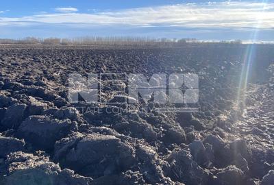 Teren Calea Cernauti | 52 ARI | Intravilan - 2
