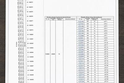 Investitie  corbu - 3