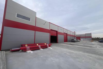 Inchiriere hala 300 mp Jilava - 1