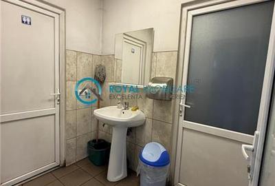 Royal Imobiliare - Inchiriere spatiu industrial zona Tantareni - 14