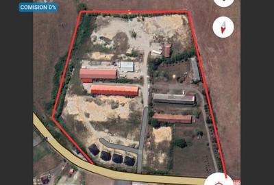 Teren de  vanzare in Grosi: 50.000 mp - 1