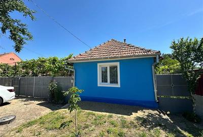 Casa Cocheta, Locuibila imediat,  cu Gradina si Curte,1500mp., Com.Birda. - 29
