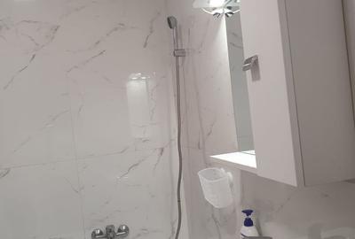 De Inchiriat Apartament 2 camere Drumul Taberei - 4