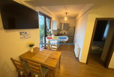 De inchiriere apartament 2 camere Bucurestii Noi - 2