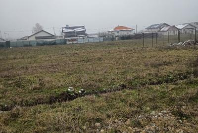 Teren intravilan Simian zona avicola - 1