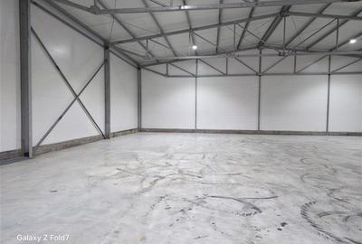 Inchiriere depozit/hala/spatiu industrial Theodor Pallady - Gara Catelul - 5