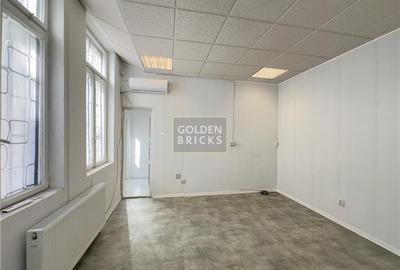 Piata Victoriei | Metrou 5 ''| Casa Individuala - 5