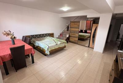 Studio generos - zona  Dacia - 8