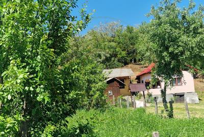 Proprietate în Comuna Botești, Județul Argeș – Zonă Pitorească și Liniștită ! - 3