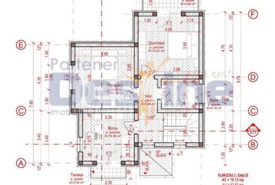 CASA P+1+POD , MIROSLAVA- BALCIU, 224.990 EURO - 17