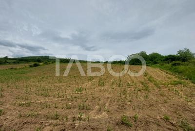 Oportunitate investitie teren 10000 mp Sura Mare - 2