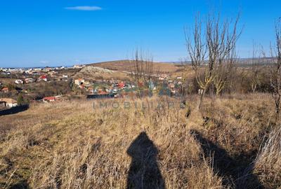 Teren 5800 mp, central Dezmir, panorama frumoasa, toate utilitatile. - 4