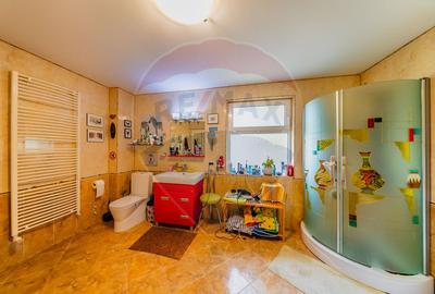 Vilă cu 4 camere de vânzare 921 mp zona Subcetate,Arad - 25