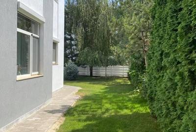 Vila 5 camere Otopeni - 3