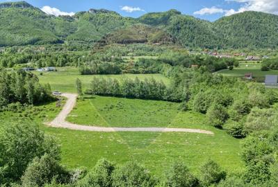 Teren 500mp Tohanita (intre castelul Bran si Zarnesti), padure + parau - 12