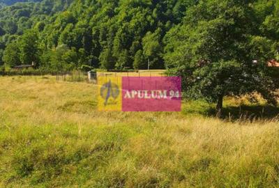 Teren Județul Vâlcea - Brezoi, Valea lui Stan - 17