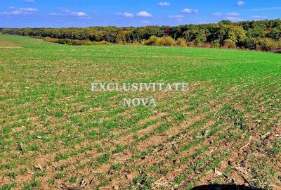 Teren 9Ha -> 16Ha Ha Intravilan , Exit A3 Snagov Ghermanesti Bucuresti-Ploiesti - 18