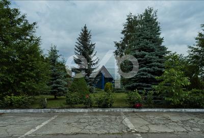 Proprietate industrială cu vizibilitate DN13 – Hală, birouri și teren 6.250 mp - 6