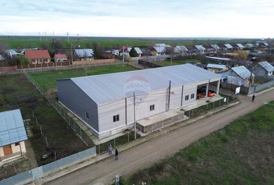 Spațiu industrial, de 700 mp, în Piscu