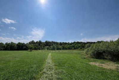 Teren extravilan | Horodnic De Sus | 3600MP - 2