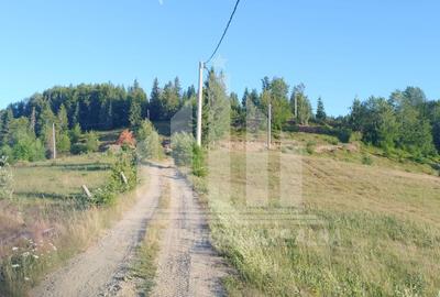 Teren intravilan | 3565 mp | Ideal constructie cabane | Garda de Sus - 1