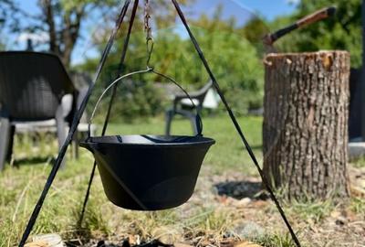 Vanzare Vila la munte - 47