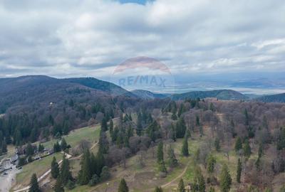 Teren Poiana Brasov, langa Stana turistica 1872mp, PUZ case/ pensiuni - 1