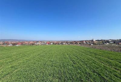 RECO Teren extravilan in Cheriu, Bihor - 7
