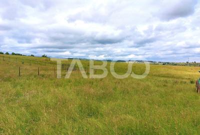 Teren intravilan 800 mp pretabil investitie zona Soma Cisnadie - 1