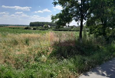 Teren Construcții intravilan de 16500 mp, în Teișori