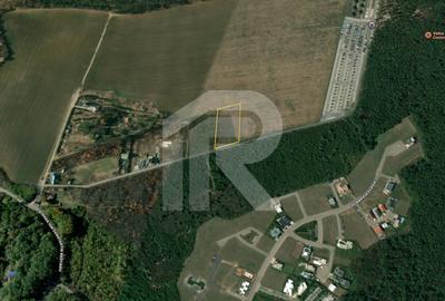 BALOTESTI - EDENLAND -  ideal investitie - Teren 5.254 mp, lângă pădure - 1