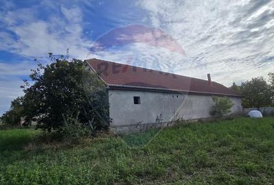 Teren si casă cu teren generos în Socodor - 1