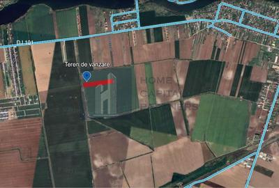 Teren de vanzare 10.000 mp | Căciulați, Moara Vlăsiei | Balotesti - 1