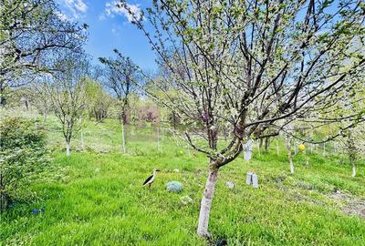 Casa individuala de vanzare in Nucet | Rosia | teren 747 mp | livada, pivnita | - 9