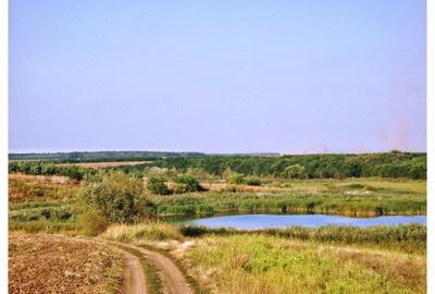 Intravilan. Retras. Liniste comunitate, lac/pădure in zona. - 9