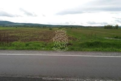 Teren agricol extravilan de 19100 mp, în Șintereag