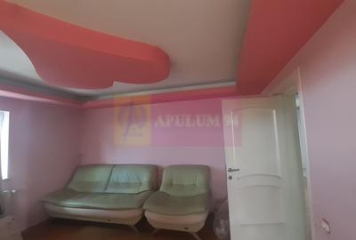 Vilă Mare în Voluntari - 23