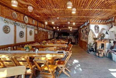 Pensiune deosebita, locuri de cazare, restaurant, pizzerie si spatii comerciale - 5