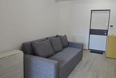 Apartament 2 camere I Curte I Piscina Complex I - 5