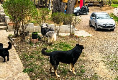 Proprietate Breaza de vis , zona de vis , prezentarea agentului , de vis - 12
