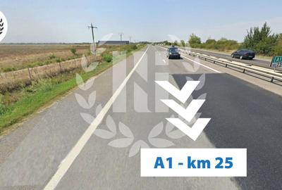 Teren Industrial Hale | A1 Bolintin Deal | București-Pitești Km 25 - 4