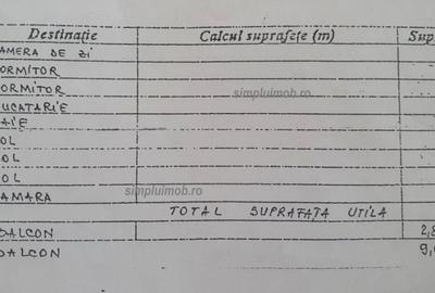 Decomandat renovat 3 camere Dna Ghica Colentina - 10