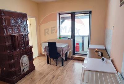 CASĂ DE VÂNZARE cu spatiu comercial in Baia Mare - 19
