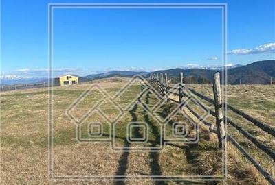 Teren de vanzare in Paltinis, Sibiu - Intravilan, 800 mp, PUZ aprobat - 6