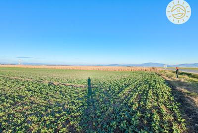 Teren intravilan 22800mp la 2km de Parcul Industrial Prejmer - 4